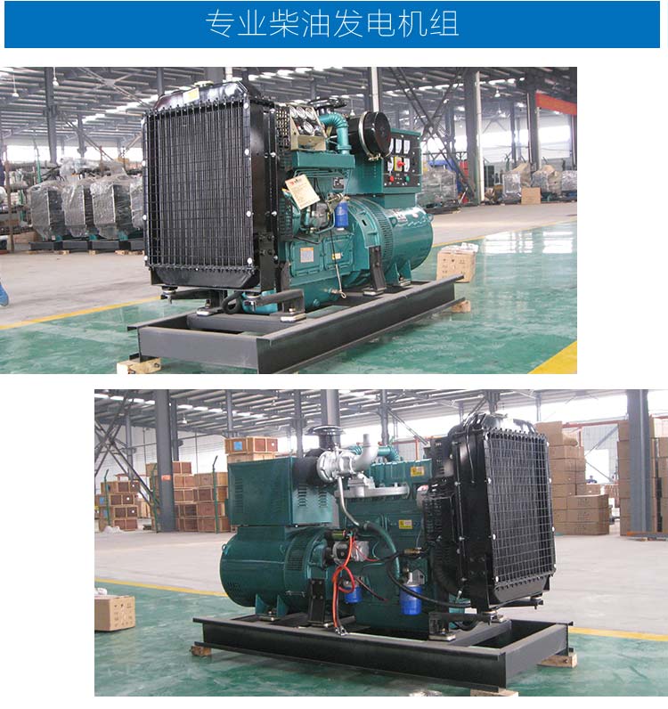 雷腾动力机械有限公司50kw发电机组